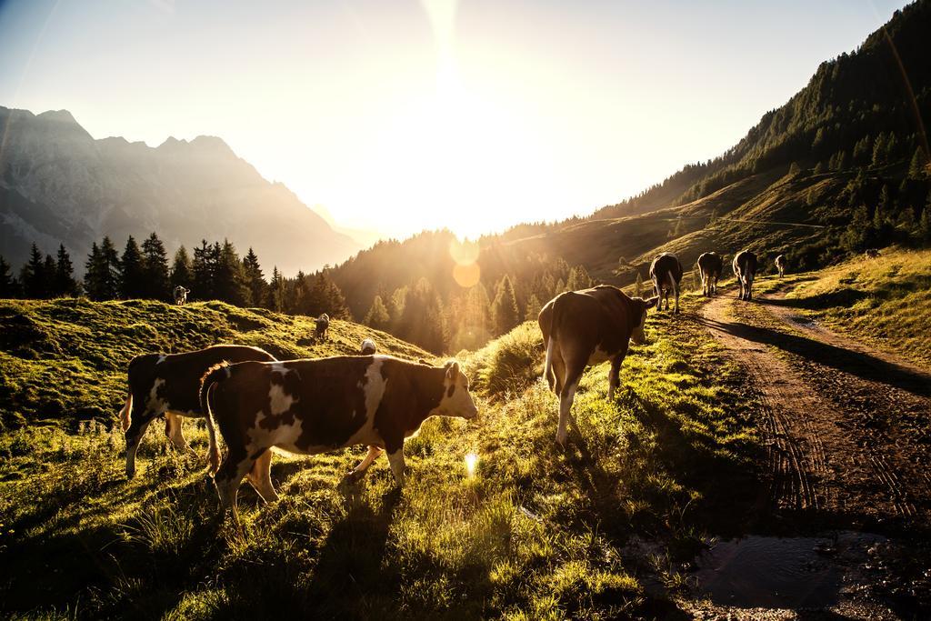 Ansitz Wirtsgut - Familienappartements In Den Bergen Leogang Esterno foto